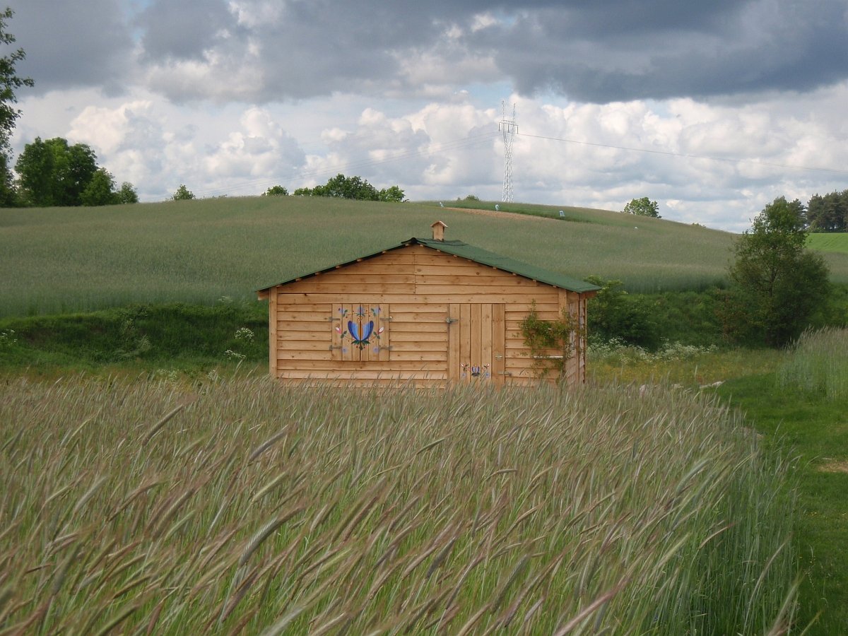 agroturystyka-sierzno-bytow-kaszuby_tygrysowka-01